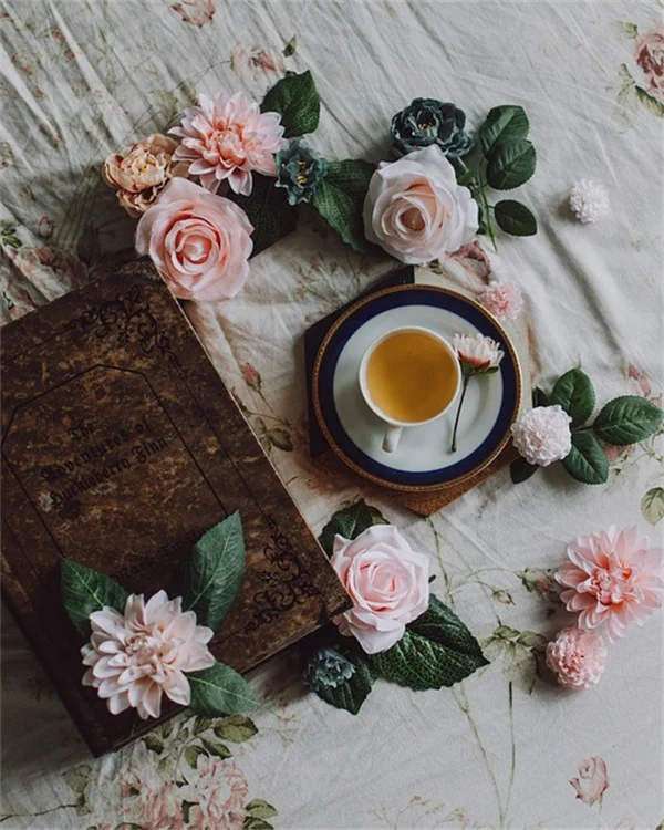 2月の種まきで失敗しない湿度管理とカバーを外すタイミング