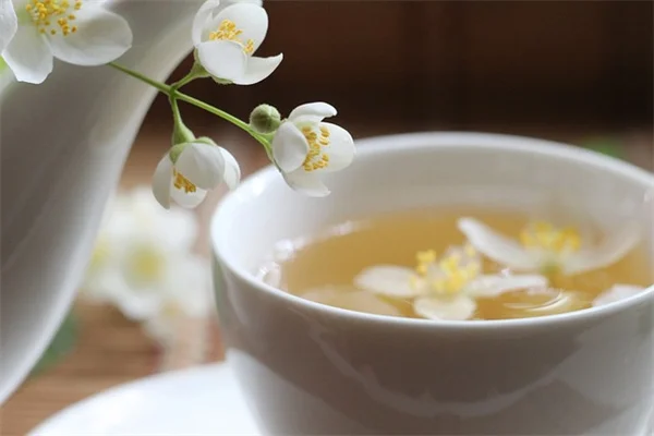 なぜ原生樹木を植えるべき？庭に在来種が重要な理由と3つの落とし穴