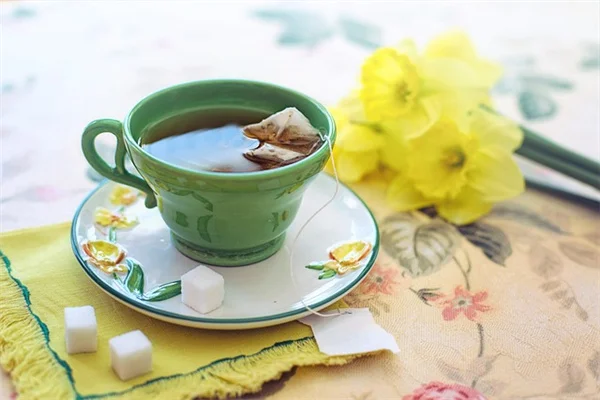 果樹の冬剪定「鳥が飛べるルール」で失敗しないコツ