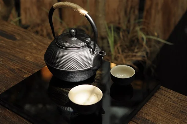 【容器栽培】失敗しない！私が選んだおすすめ植物10選
